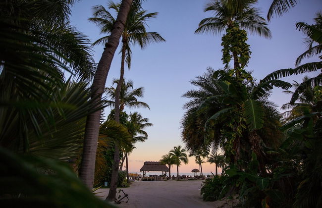 The Caribbean Resort Princess Palm South - Foto 14