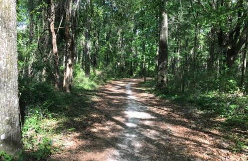 Town & Country Hideaway - 1BR/1BA, 20 min FAMU/FSU - Foto 22