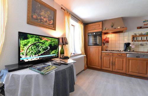 Les Hirondelles - Foto 7