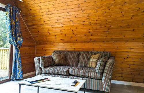 Balor 1 - Hot Tub-Perth-Pets - Photo 10