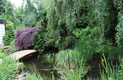 Ferienhaus Lorenz` Gartentraum - Emsland - Photo 20