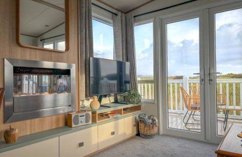 Little Curlew, Ynyslas, Borth - Foto 8