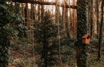 Gîtes du Bulz, en pleine forêt proche de la mer - Photo 40