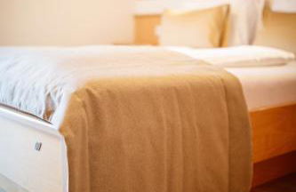 Alpengruss - Foto 35