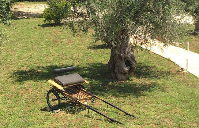 Trulli Isago B&B - Photo 19
