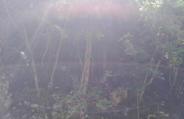 TRE METR SOPRA IL CIELO ''AcquAria'' - Foto 69