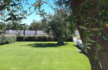 Masseria Bianca di Puglia - Foto 24