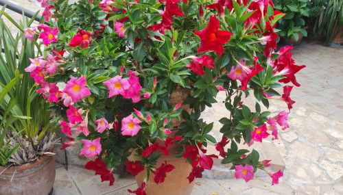 la casa di Martina - Foto 3