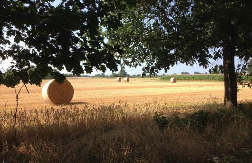 Residenza Sant'Anna - Foto 14