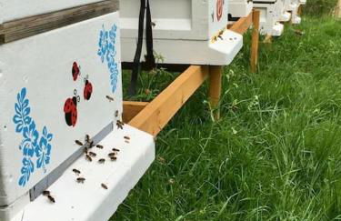 The Summerhouse, countryside retreat with private hot tub - Foto 35