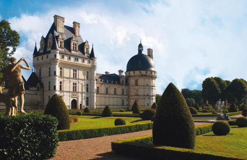 Gîte familial 12 pers. proche Valençay, ZooParc de Beauval et Châteaux de la Loire, parc arboré et jeux - FR-1-591-113 - Foto 2