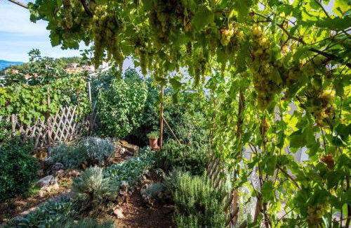 Apartments in Vrbnik - Insel Krk 13597 - Foto 7