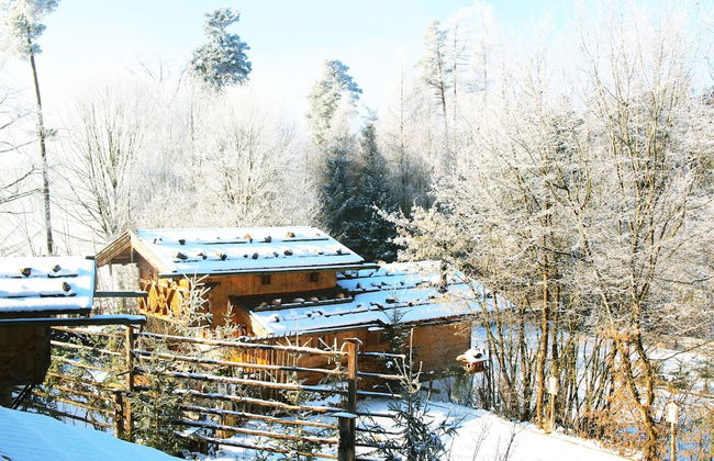 Eco-friendly Chalet Near the Lake in Asten - Photo 46