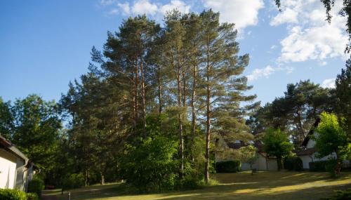 Ferienhaus Natur Pur, Lenz, Lenzer Höh - Foto 3, Garden view