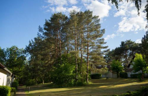Ferienhaus Natur Pur, Lenz, Lenzer Höh - Foto 3