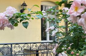 Feinzeit Cozy Rosy - 1-2 Schlafzimmer, 4-6 Gäste, Parkplatz - Photo 38