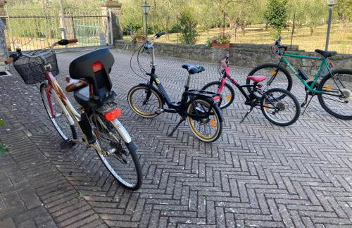 Le Coccole Del Trasimeno - Foto 34