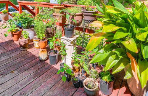 Cozy Appalachian Getaway 5 Mi to Prospect Peak! - Photo 28