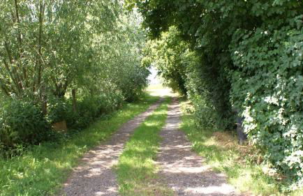 Ferienwohnung Fuchsberge - Foto 25