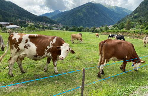 Maison Eglantine - Foto 48