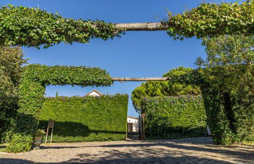 Country Village Senses - Foto 45