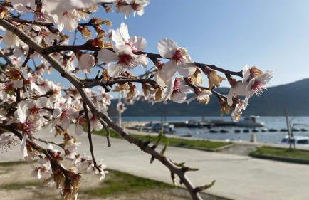 Villa Ludilo mit 4 Apartments in Poljica - Marina bei Trogir Split - Photo 80