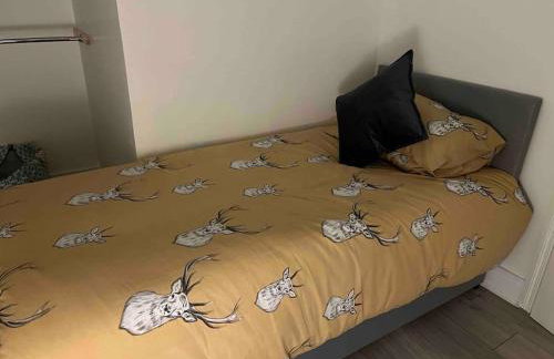 Corner House 2-Bed Townhouse Sleeps 3 - Photo 6