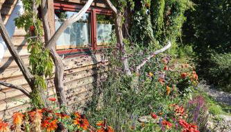 Blockhaus Zahren - Foto 3, Garden view