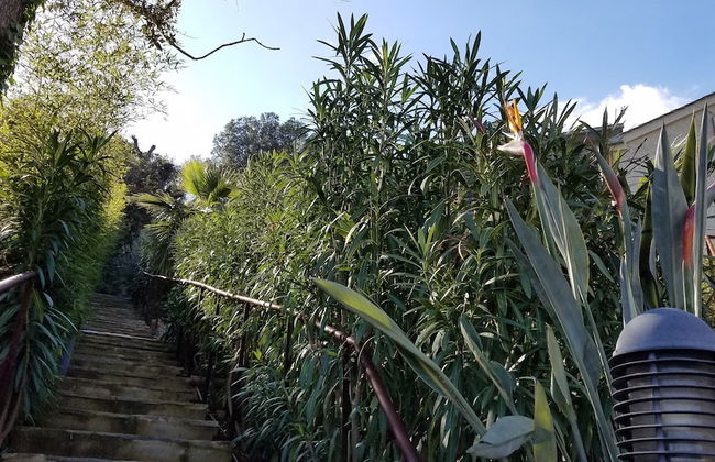 Suites in Erbalunga - Photo 80