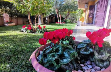 Maresole tra l'Etna e Taormina - Foto 41