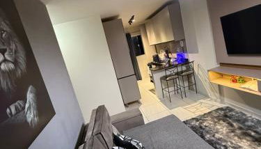 Apartamento moderno e aconchegante com ótima localização - Foto 5