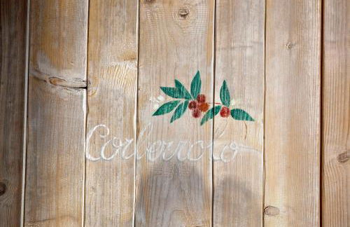 Casa Virginia - Corbezzolo - Foto 20