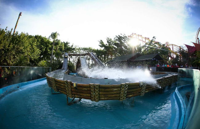 Beto Carrero World Day Trip - Photo 2