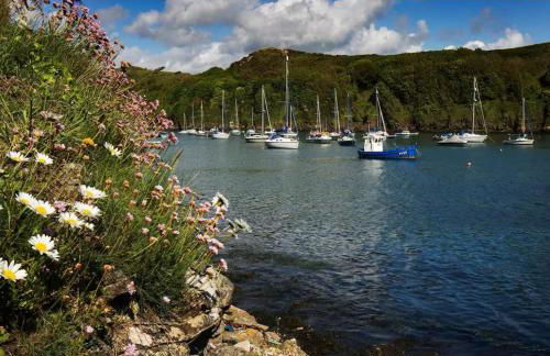 Calebs Cottage- Solva harbour - Photo 30