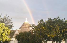 Trullo Dimora Podere Papilio - Photo 37