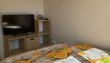 T2 Avec exterieur - Foto 3