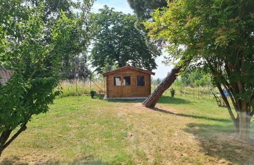 Le Cottage Nature Loin de l'oeil Clim Gaillac entre Albi-Toulouse & Les Cottages du Tarn - Foto 19