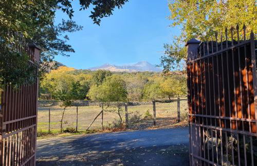 Casa Etnea - Foto 66