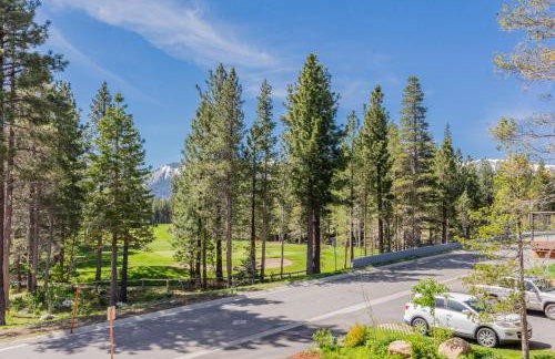 Gray Bear 514 - Foto 32