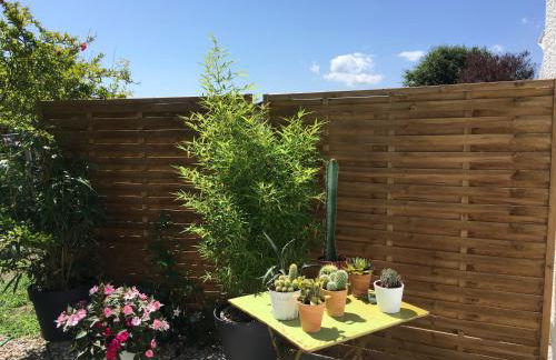 PETIT STUDIO de L'ERMITAGE - Foto 19