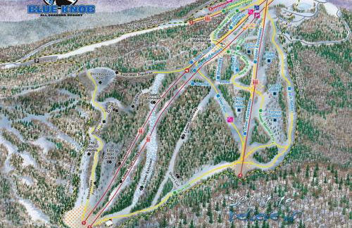 2 Bedroom 2 Bathroom - Blue Knob All Season Resort Condo - Foto 44