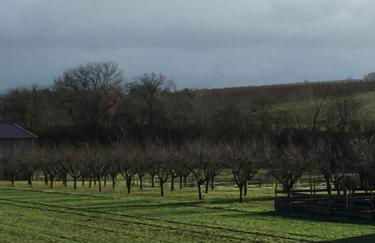 Valley ferienwohnung SÜW - Foto 12
