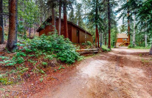 Deck and Mtn Views! Family A-Frame Cabin in Bailey - Foto 28