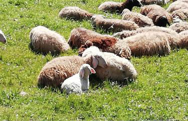 Casa Aguarela - Foto 7