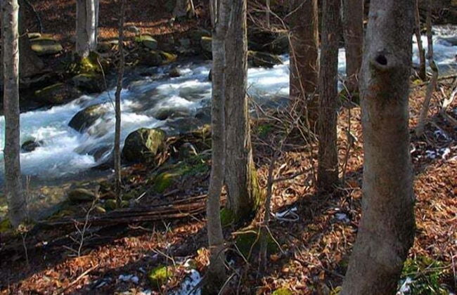 A Love Shack - Foto 14