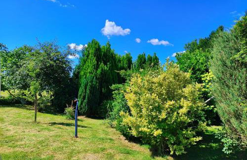 Przystań w Jezierzanach - Foto 26