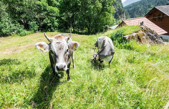 Cozy Holiday Home in Tyrol near Ski Area - Foto 35