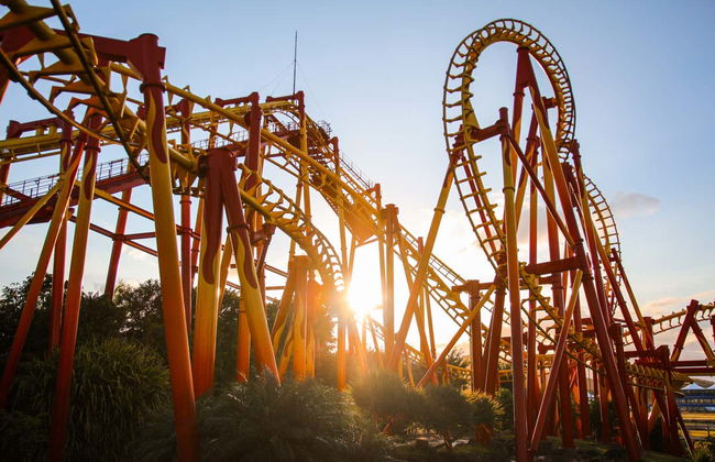 Beto Carrero World Day Trip - Photo 5