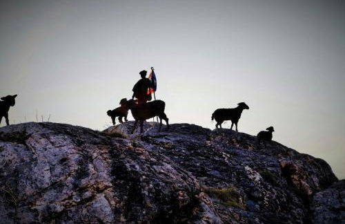 Sisquet Apartaments - Foto 23