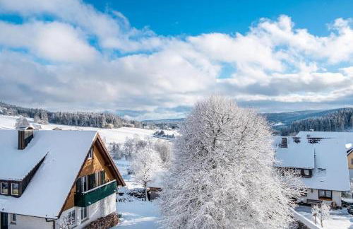 Haus Doktor Saeltzer bis 13Personen - Photo 20